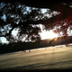 Image for article titled Shooting Challenge: Cellphone Gallery Part 2